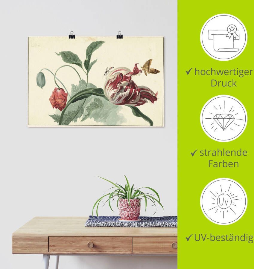 Artland Artprint Tulp en klaproos. als artprint van aluminium artprint voor buiten artprint op linnen poster in verschillende maten. maten