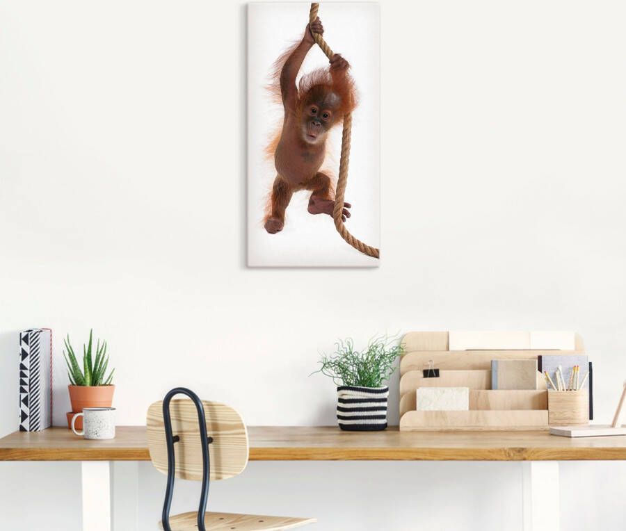 Artland Artprint Baby orang oetan hangt aan het touw I als artprint van aluminium artprint op linnen muursticker of poster in verschillende maten