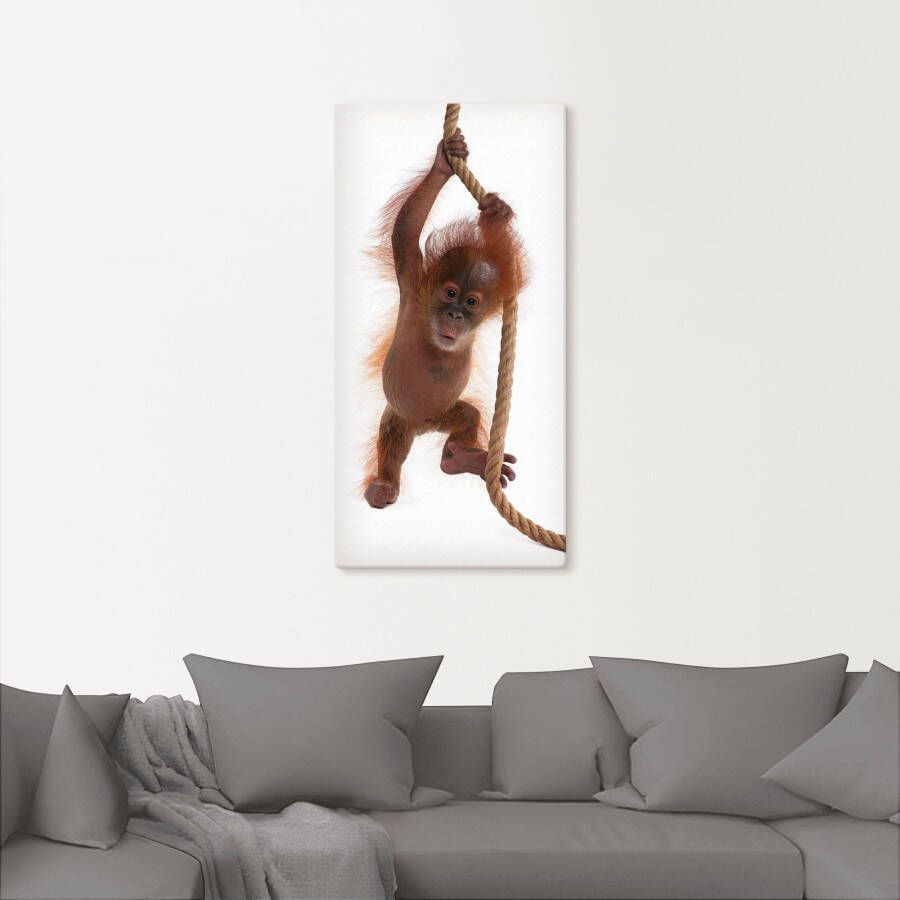 Artland Artprint Baby orang oetan hangt aan het touw I als artprint van aluminium artprint op linnen muursticker of poster in verschillende maten