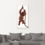 Artland Artprint Baby orang oetan hangt aan het touw I als artprint van aluminium artprint op linnen muursticker of poster in verschillende maten - Thumbnail 4