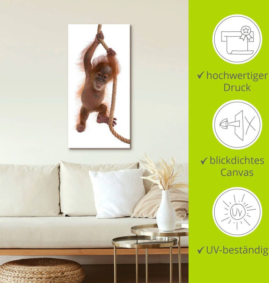 Artland Artprint Baby orang oetan hangt aan het touw I als artprint van aluminium artprint op linnen muursticker of poster in verschillende maten