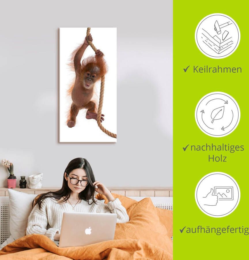 Artland Artprint Baby orang oetan hangt aan het touw I als artprint van aluminium artprint op linnen muursticker of poster in verschillende maten