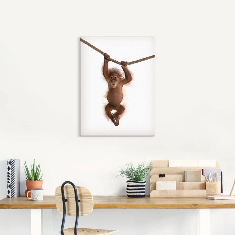 Artland Artprint Baby orang oetan hangt aan het touw II als artprint van aluminium artprint voor buiten artprint op linnen poster muursticker