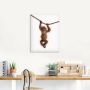 Artland Artprint Baby orang oetan hangt aan het touw II als artprint van aluminium artprint voor buiten artprint op linnen poster muursticker - Thumbnail 4