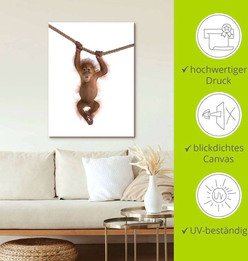 Artland Artprint Baby orang oetan hangt aan het touw II als artprint van aluminium artprint voor buiten artprint op linnen poster muursticker