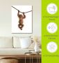 Artland Artprint Baby orang oetan hangt aan het touw II als artprint van aluminium artprint voor buiten artprint op linnen poster muursticker - Thumbnail 5