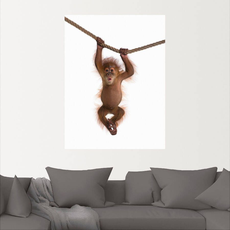 Artland Artprint Baby orang oetan hangt aan het touw II als artprint van aluminium artprint voor buiten artprint op linnen poster muursticker