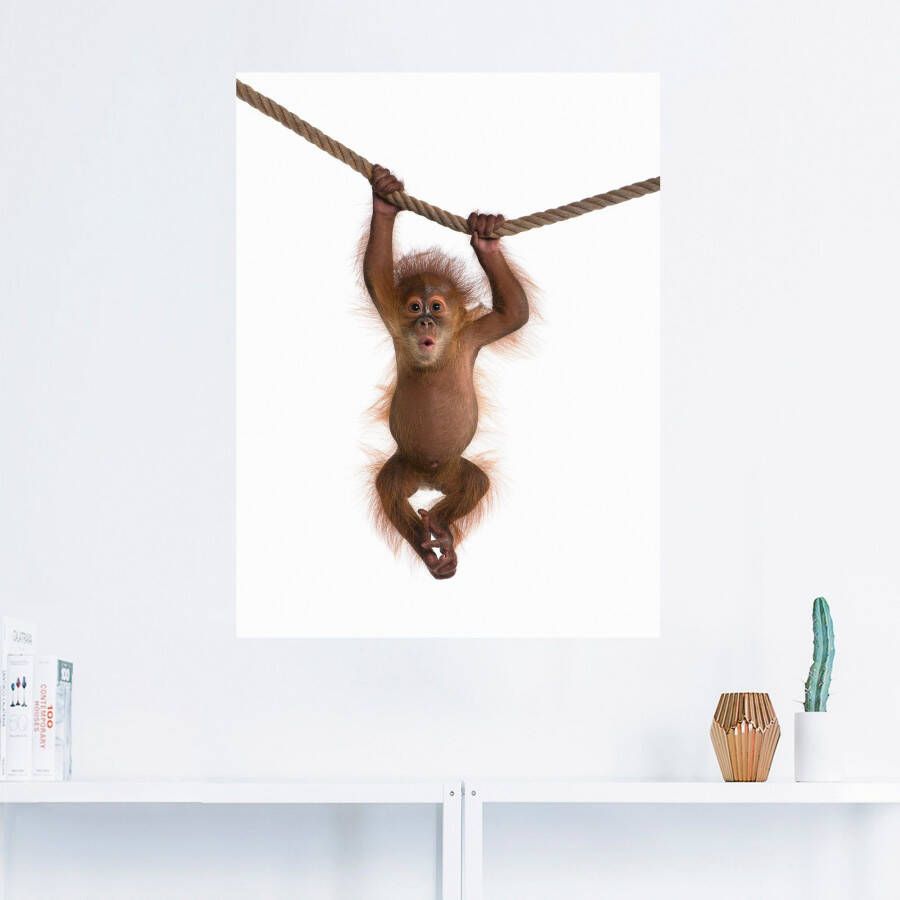 Artland Artprint Baby orang oetan hangt aan het touw II als artprint van aluminium artprint voor buiten artprint op linnen poster muursticker