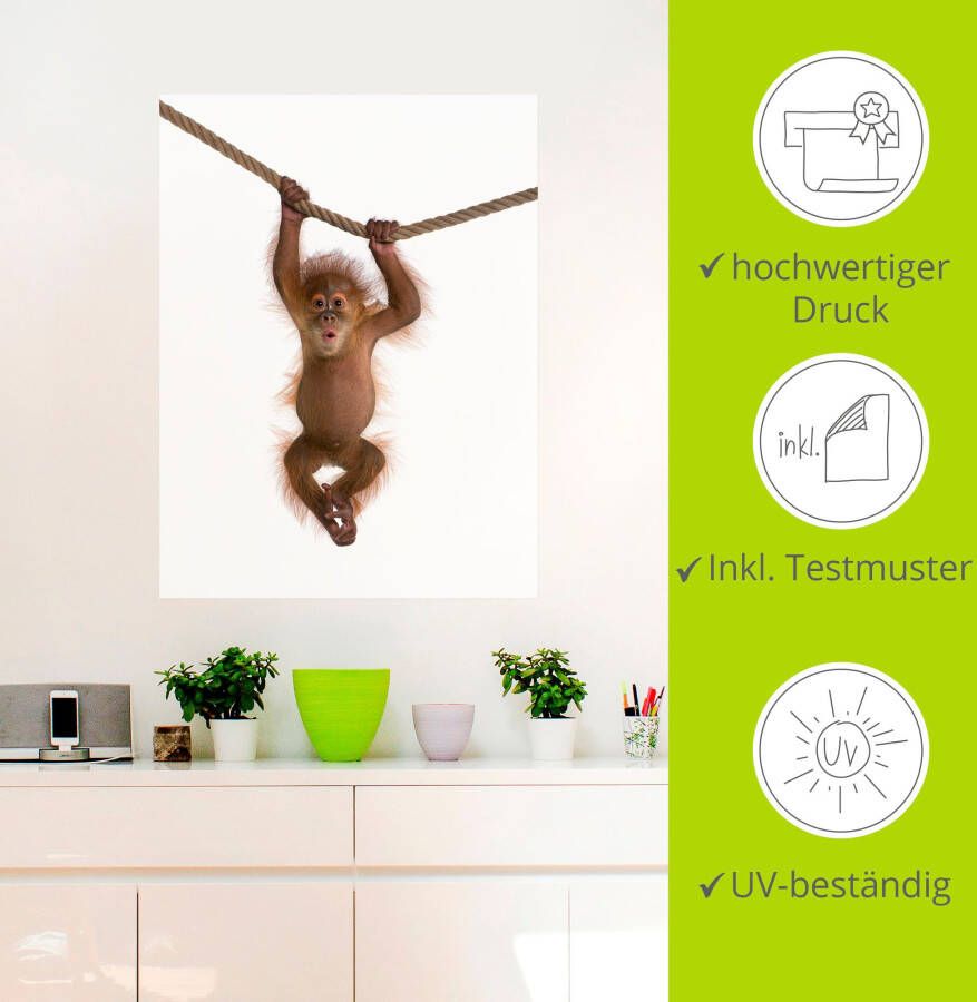 Artland Artprint Baby orang oetan hangt aan het touw II als artprint van aluminium artprint voor buiten artprint op linnen poster muursticker