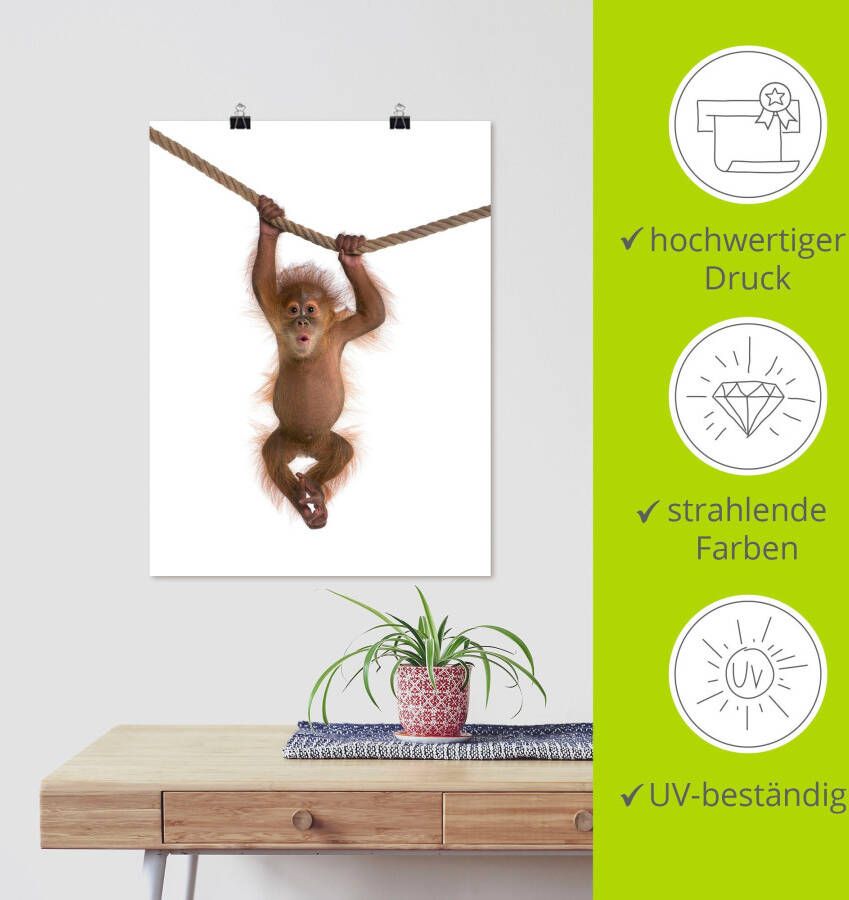 Artland Artprint Baby orang oetan hangt aan het touw II als artprint van aluminium artprint voor buiten artprint op linnen poster muursticker