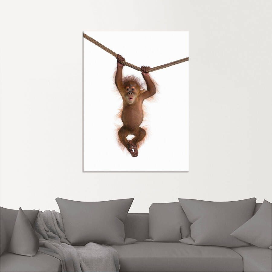 Artland Artprint Baby orang oetan hangt aan het touw II als artprint van aluminium artprint voor buiten artprint op linnen poster muursticker