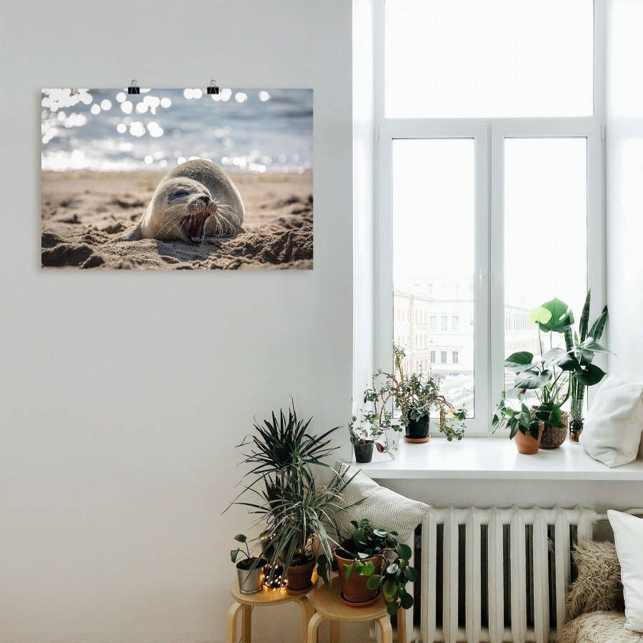 Artland Artprint Baby-rob aan het strand van List Sylt als poster muursticker in verschillende maten