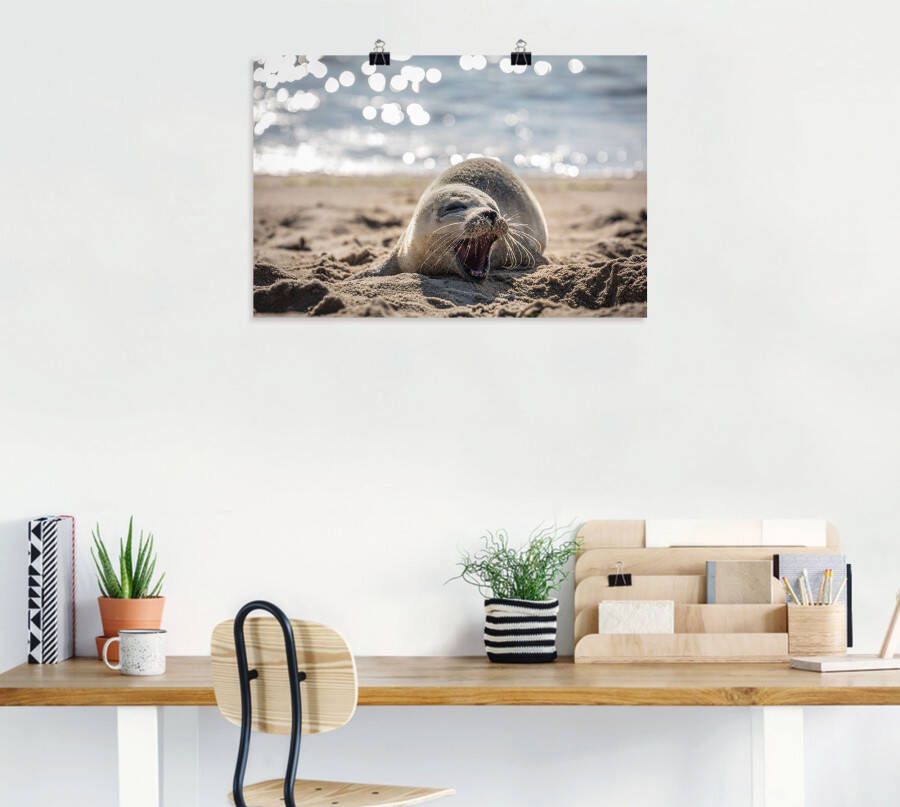 Artland Artprint Baby-rob aan het strand van List Sylt als poster muursticker in verschillende maten