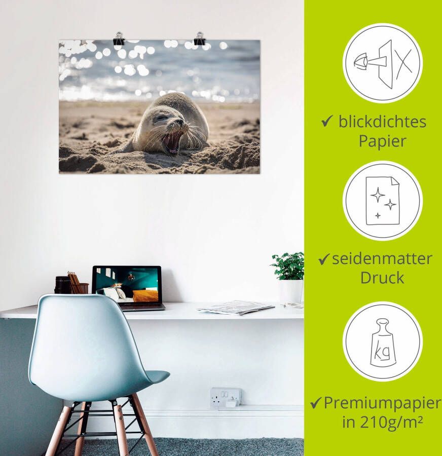 Artland Artprint Baby-rob aan het strand van List Sylt als poster muursticker in verschillende maten