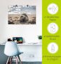 Artland Artprint Baby-rob aan het strand van List Sylt als poster muursticker in verschillende maten - Thumbnail 4