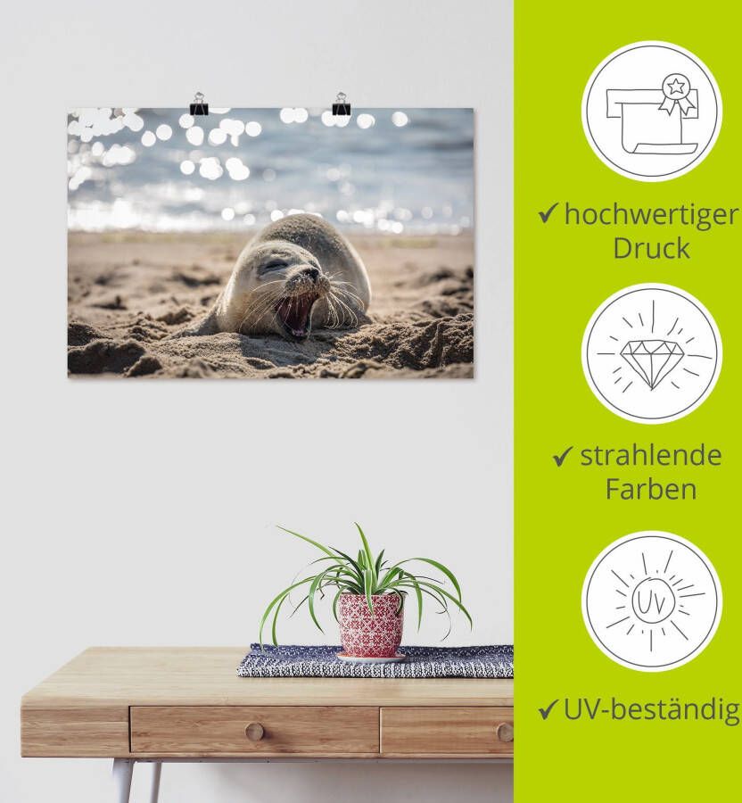 Artland Artprint Baby-rob aan het strand van List Sylt als poster muursticker in verschillende maten