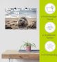 Artland Artprint Baby-rob aan het strand van List Sylt als poster muursticker in verschillende maten - Thumbnail 5