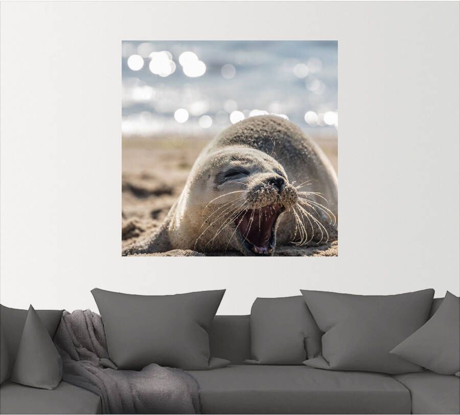 Artland Artprint Baby-rob aan het strand van List Sylt als poster muursticker in verschillende maten