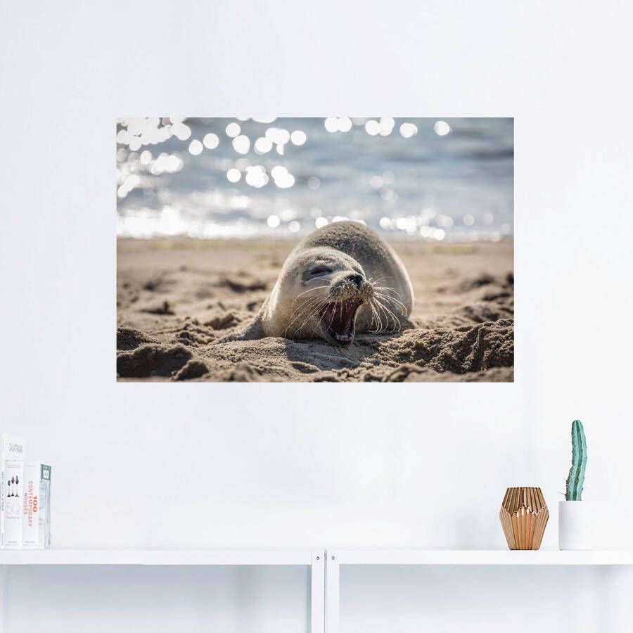 Artland Artprint Baby-rob aan het strand van List Sylt als poster muursticker in verschillende maten