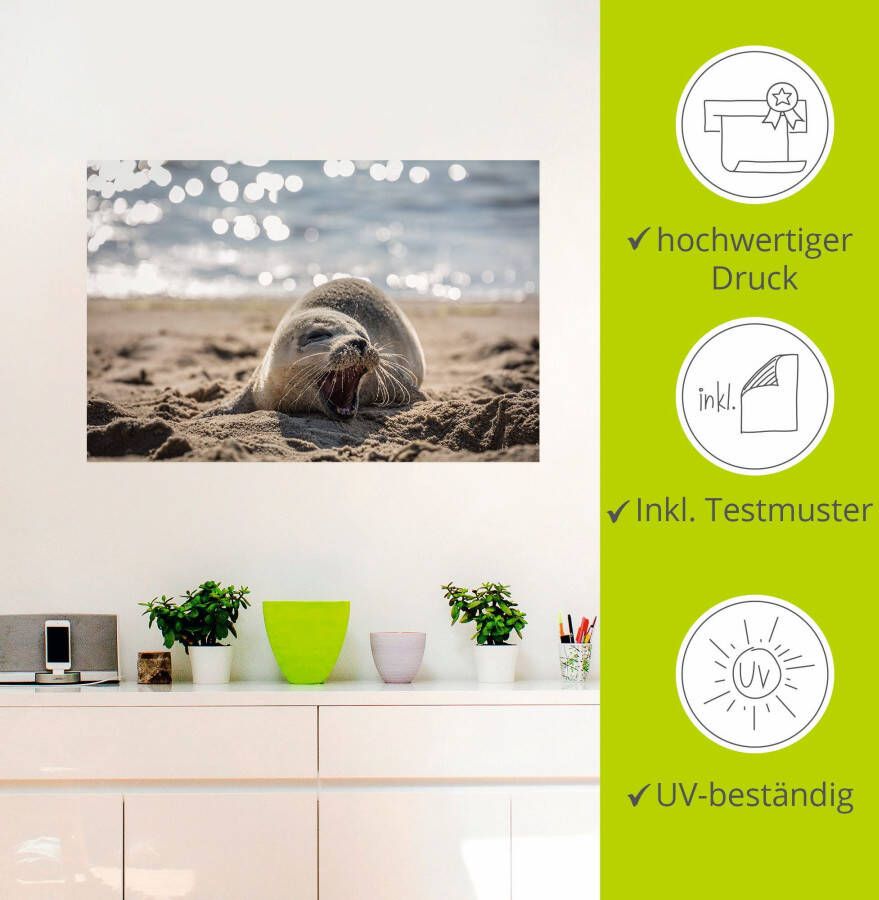 Artland Artprint Baby-rob aan het strand van List Sylt als poster muursticker in verschillende maten