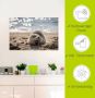 Artland Artprint Baby-rob aan het strand van List Sylt als poster muursticker in verschillende maten - Thumbnail 4