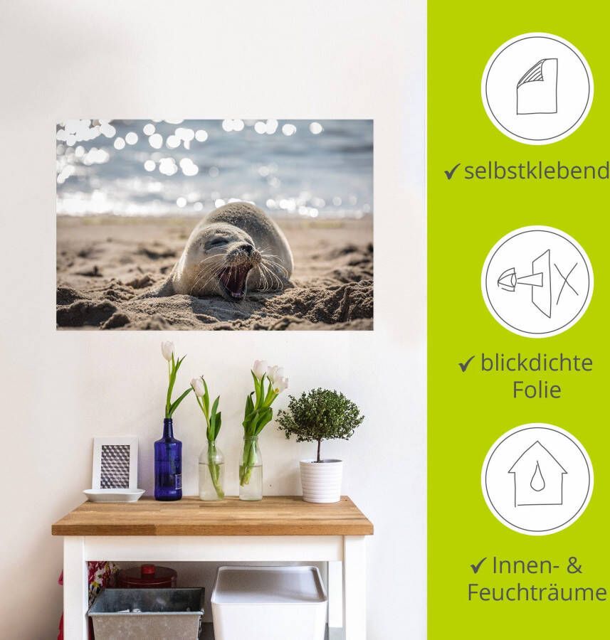 Artland Artprint Baby-rob aan het strand van List Sylt als poster muursticker in verschillende maten