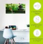 Artland Artprint Bamboebronnen en zen-steen als artprint van aluminium artprint voor buiten artprint op linnen poster muursticker - Thumbnail 5