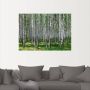 Artland Artprint Berkenbos als poster muursticker in verschillende maten - Thumbnail 3