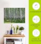 Artland Artprint Berkenbos als poster muursticker in verschillende maten - Thumbnail 5