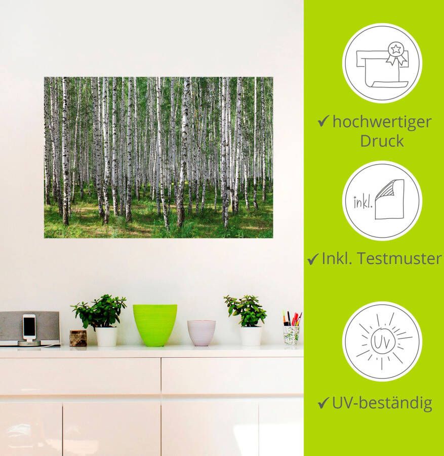 Artland Artprint Berkenbos als poster muursticker in verschillende maten