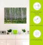 Artland Artprint Berkenbos als poster muursticker in verschillende maten - Thumbnail 6