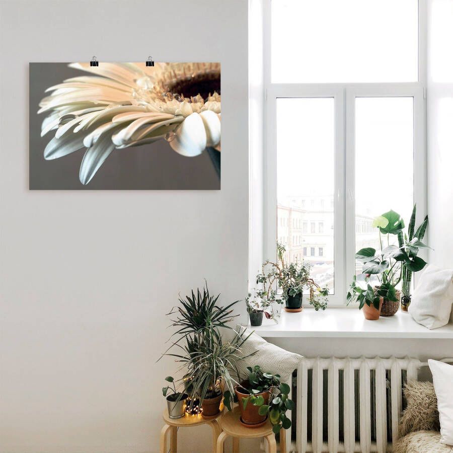 Artland Artprint Bloem van een gerbera als artprint op linnen poster muursticker in verschillende maten