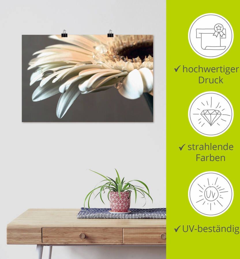 Artland Artprint Bloem van een gerbera als artprint op linnen poster muursticker in verschillende maten