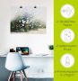 Artland Artprint Bloemen serenade als poster in verschillende formaten maten - Thumbnail 5