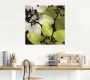 Artland Artprint Bloemen V als artprint van aluminium artprint voor buiten artprint op linnen poster in verschillende maten. maten - Thumbnail 4