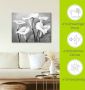 Artland Artprint Callas II als artprint op linnen poster in verschillende formaten maten - Thumbnail 5