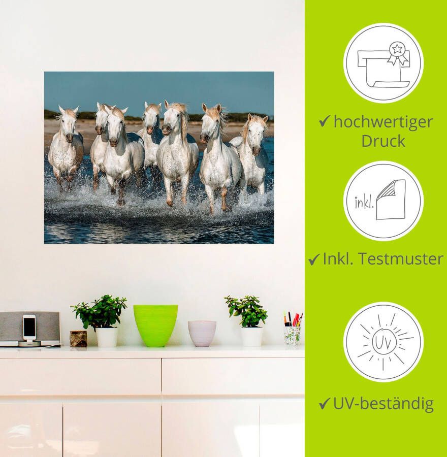 Artland Artprint Camargue paarden galopperen op het strand als artprint van aluminium artprint voor buiten artprint op linnen poster muursticker