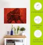 Artland Artprint Catalaanse Stier als artprint van aluminium artprint voor buiten artprint op linnen poster muursticker - Thumbnail 6