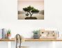 Artland Artprint Chinese bonsaiboom als artprint van aluminium artprint voor buiten artprint op linnen poster muursticker - Thumbnail 3