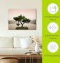 Artland Artprint Chinese bonsaiboom als artprint van aluminium artprint voor buiten artprint op linnen poster muursticker - Thumbnail 6