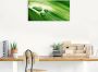 Artland Poster Close-up van een groen plantenblad als artprint op linnen muursticker of poster in verschillende maten - Thumbnail 3