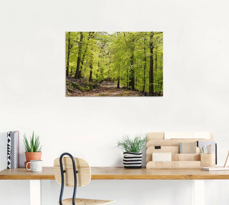 Artland Artprint De beuken in de lente als artprint van aluminium artprint voor buiten artprint op linnen poster muursticker