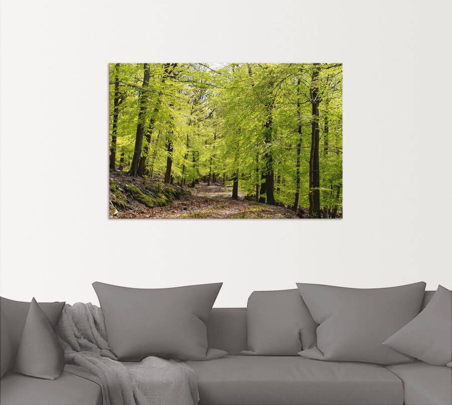 Artland Artprint De beuken in de lente als artprint van aluminium artprint voor buiten artprint op linnen poster muursticker