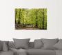 Artland Artprint De beuken in de lente als artprint van aluminium artprint voor buiten artprint op linnen poster muursticker - Thumbnail 4