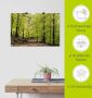 Artland Artprint De beuken in de lente als artprint van aluminium artprint voor buiten artprint op linnen poster muursticker - Thumbnail 5