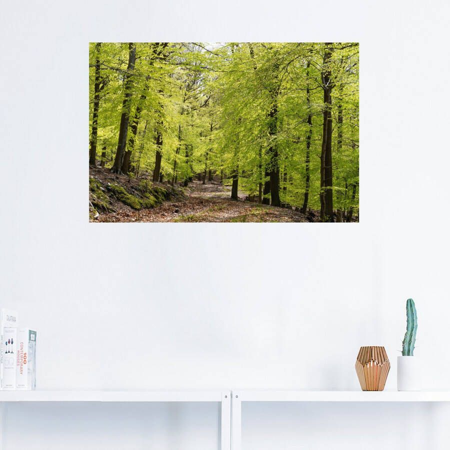 Artland Artprint De beuken in de lente als artprint van aluminium artprint voor buiten artprint op linnen poster muursticker