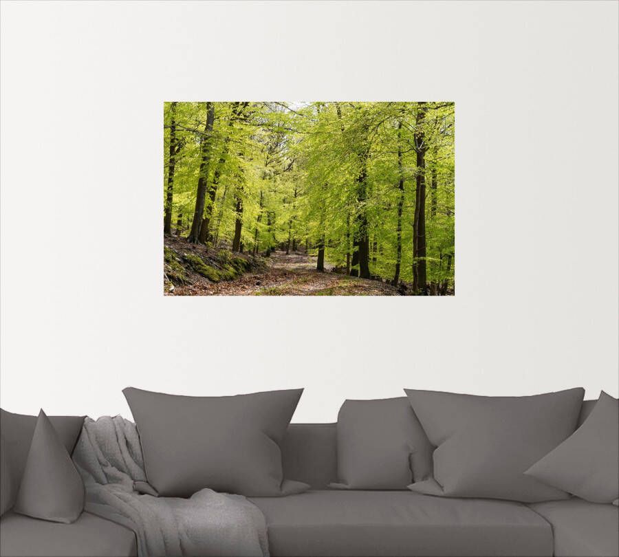 Artland Artprint De beuken in de lente als artprint van aluminium artprint voor buiten artprint op linnen poster muursticker