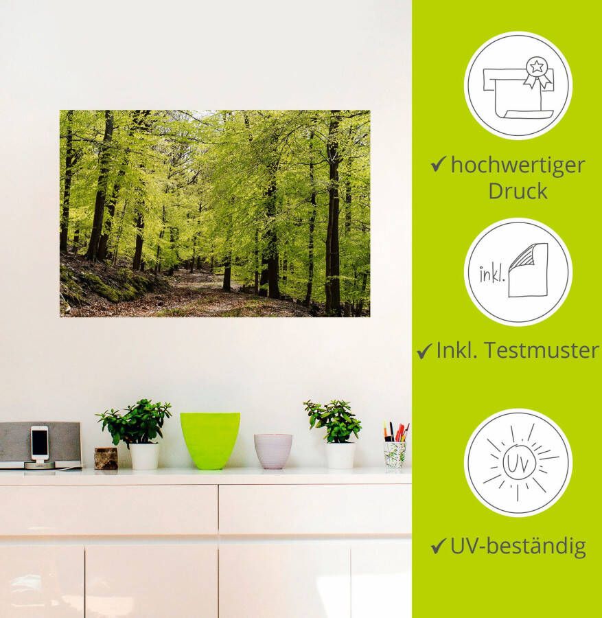 Artland Artprint De beuken in de lente als artprint van aluminium artprint voor buiten artprint op linnen poster muursticker