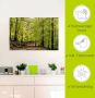 Artland Artprint De beuken in de lente als artprint van aluminium artprint voor buiten artprint op linnen poster muursticker - Thumbnail 4