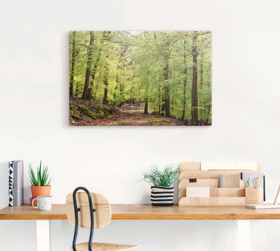 Artland Artprint De beuken in de lente als artprint van aluminium artprint voor buiten artprint op linnen poster muursticker